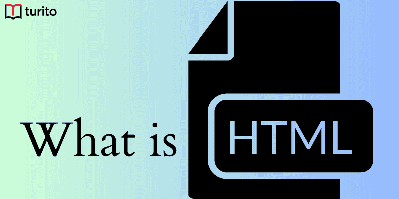 What is HTML