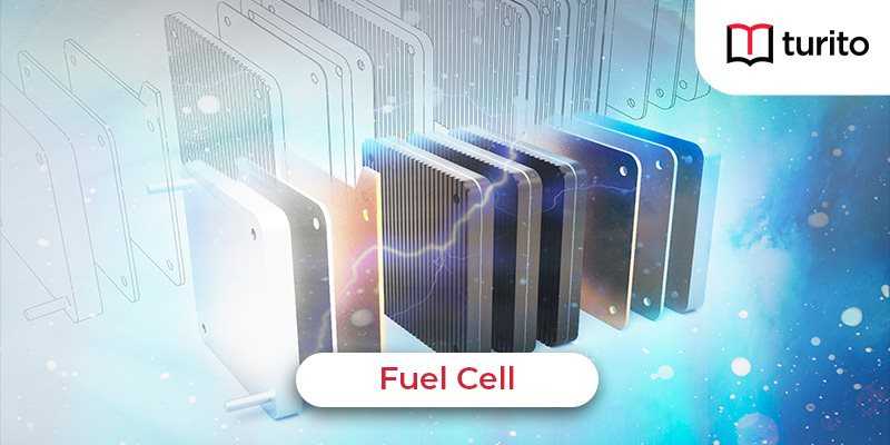 fuel cell