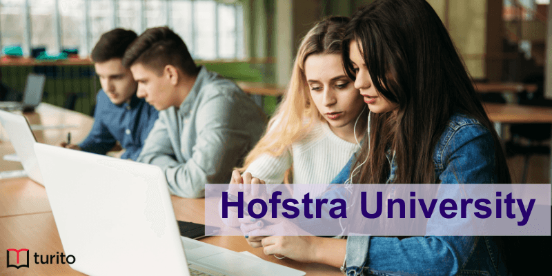 Hofstra University