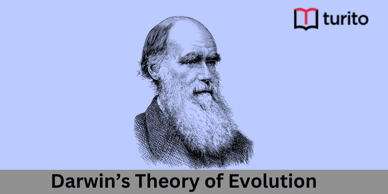 Darwin’s Theory of Evolution