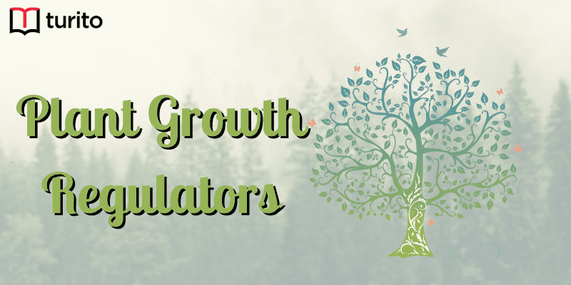 Plant Growth Regulators