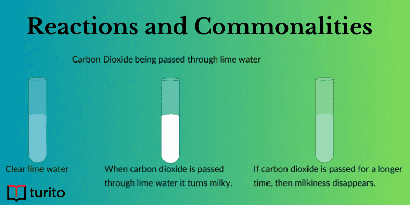 Reactions and Commonalities