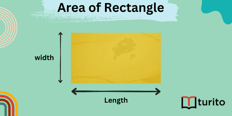 Area of Rectangle