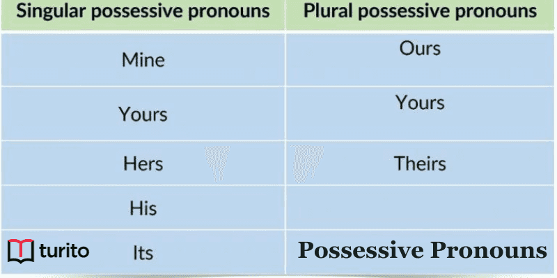 Possessive Pronoun