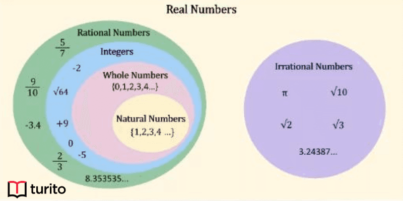 Real Numbers